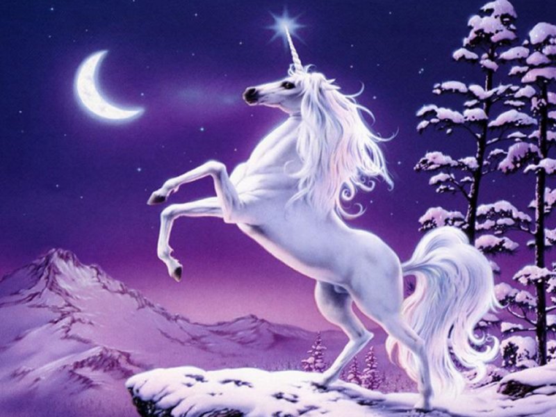 unicorn 4.jpg