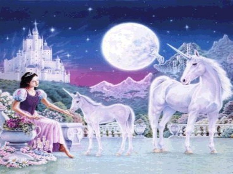 unicorns 